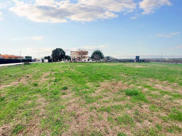 #23067 Terreno agricolo di 30.282 mq in vendita - foto 5