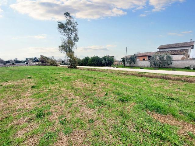 #23067 Terreno agricolo di 30.282 mq in vendita - foto 4