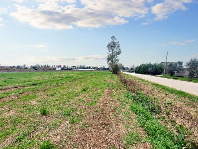 #23067 Terreno agricolo di 30.282 mq in vendita - foto 20