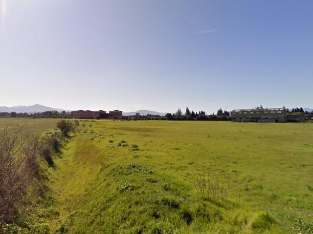 Agricoli in vendita