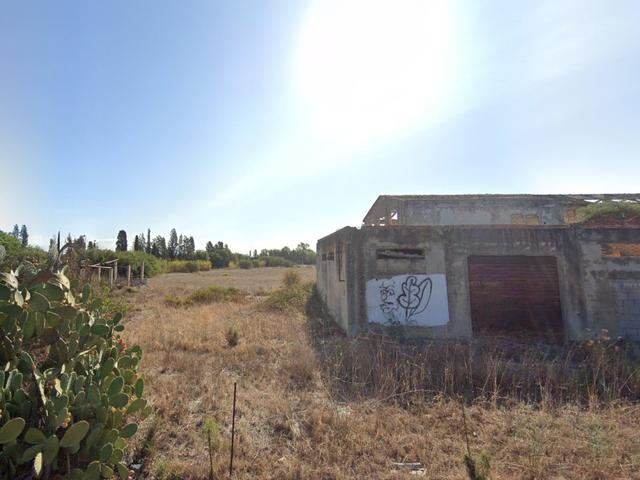 Agricoli in vendita