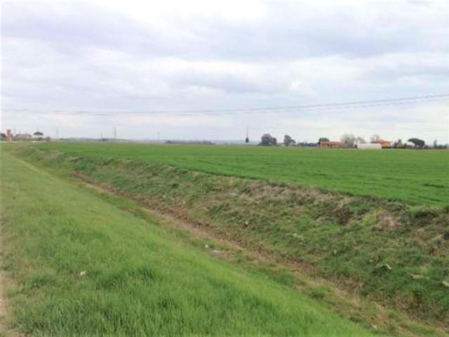 #18510 Terreno edificabile produttivo e agricolo in vendita - foto 5