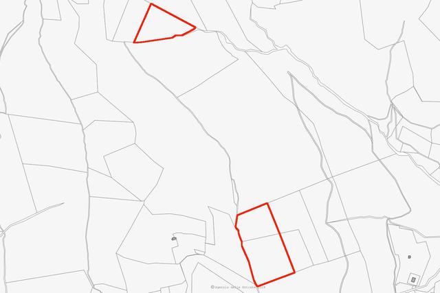 estratto-di-mappa