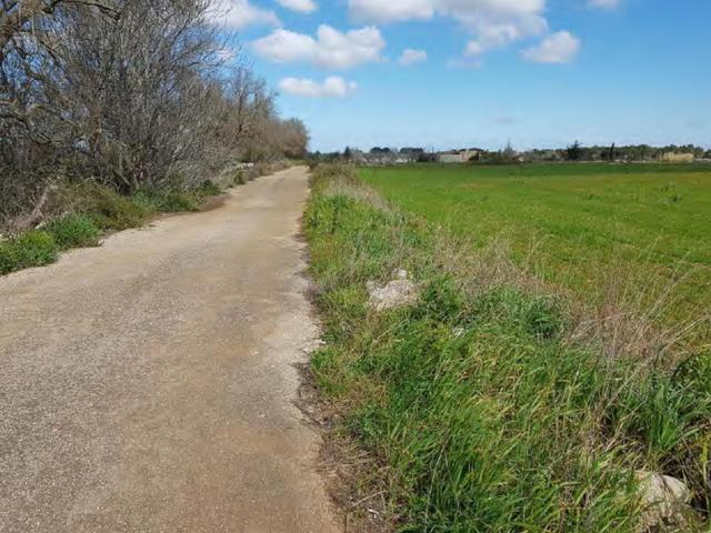 #23970 Terreno agricolo di 40.541 mq in vendita - foto 6