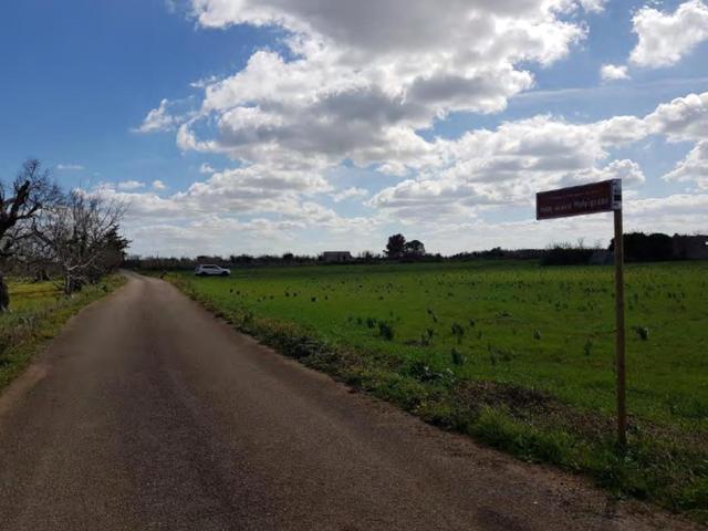 #23970 Terreno agricolo di 40.541 mq in vendita - foto 5