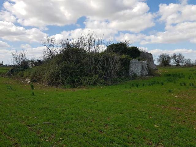 #23970 Terreno agricolo di 40.541 mq in vendita - foto 4