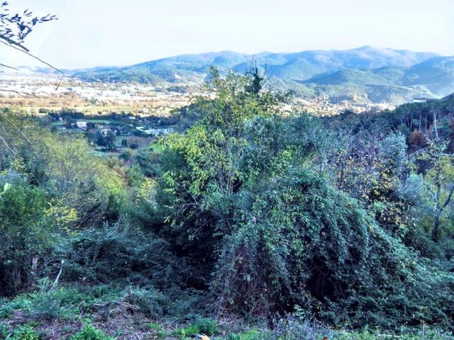 #2515042 Terreno agricolo di 145.862 mq in vendita - foto 5