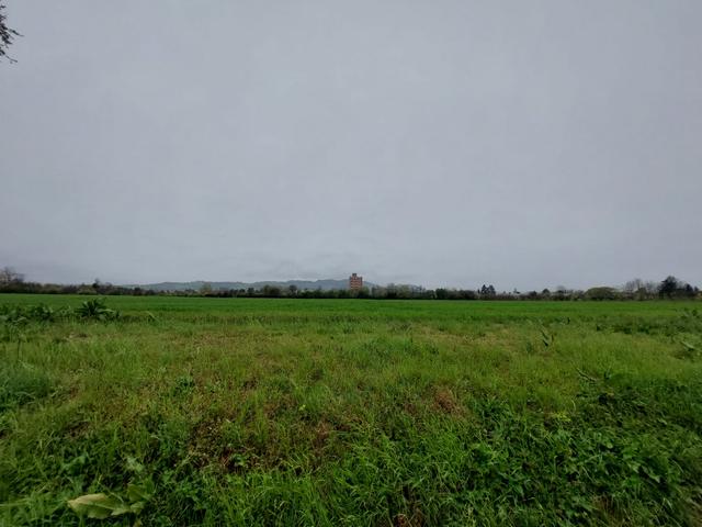 Edificabili in vendita