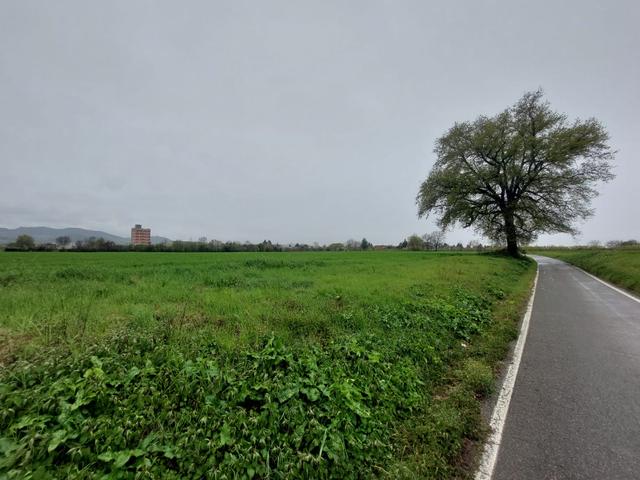 Edificabili in vendita