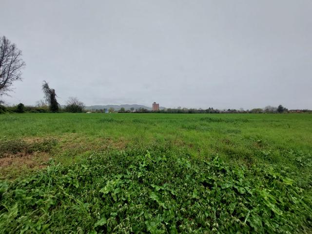 Edificabili in vendita