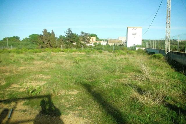 #2638308 Appezzamento agricolo incolto di 3225 mq in vendita - foto 4