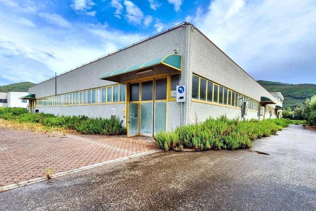 Magazzini in vendita