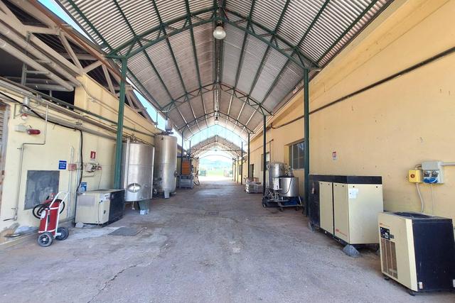 #24757 Opificio per produzione alimentare con terreni in vendita - foto 15