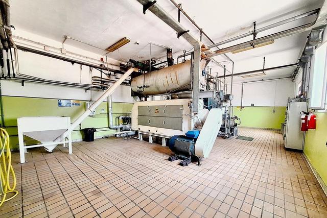 #24757 Opificio per produzione alimentare con terreni in vendita - foto 2
