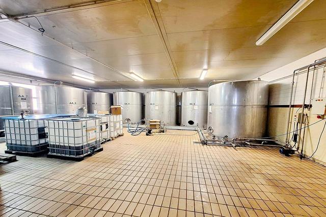 #24757 Opificio per produzione alimentare con terreni in vendita - foto 8