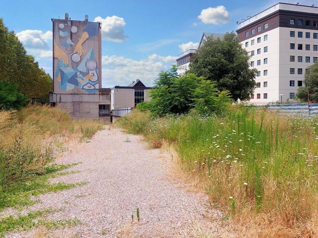 #21621 Terreno edificabile direzionale di 2.700 mq in vendita - foto 15