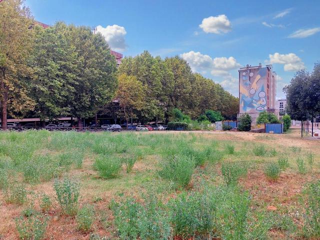 #21621 Terreno edificabile direzionale di 2.700 mq in vendita - foto 13