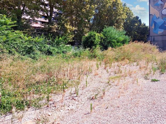 #21621 Terreno edificabile direzionale di 2.700 mq in vendita - foto 5
