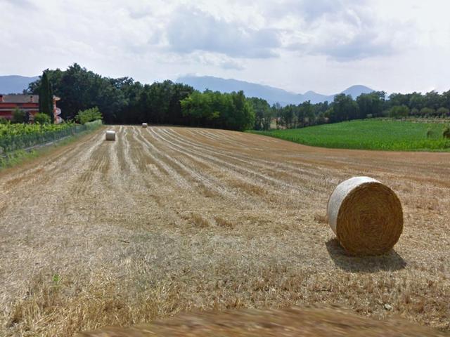 Agricoli in vendita