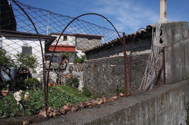 #15750 Quota di terreno edificabile di 170 mq in vendita - foto 5