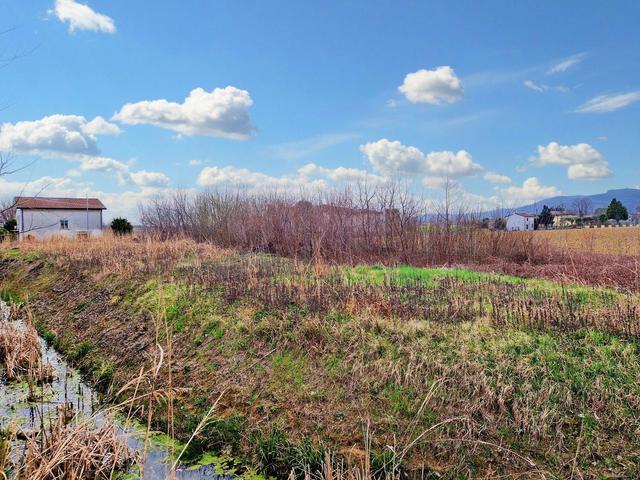 #20332 Terreni edificabili residenziali di 5.900 mq in vendita - foto 3