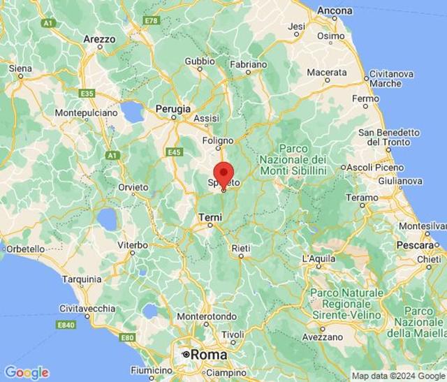 Grandi dimensioni in vendita