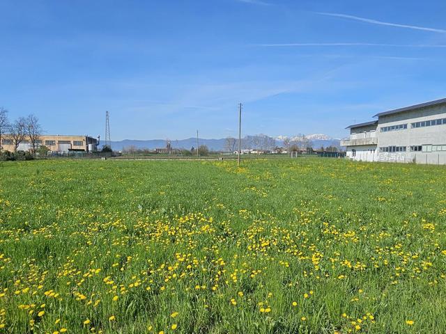 Edificabili in vendita