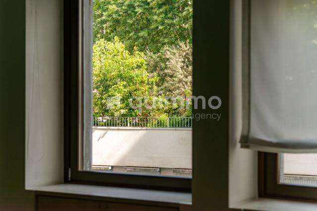 Grandi dimensioni in vendita