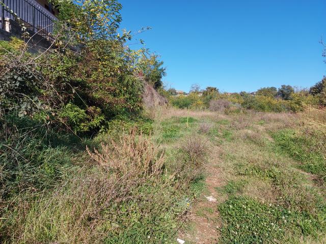 #2537296 Terreno agricolo di 3.640 mq in vendita - foto 5