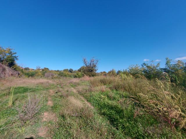 #2537296 Terreno agricolo di 3.640 mq in vendita - foto 6