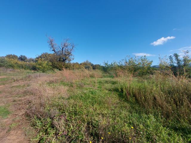 #2537296 Terreno agricolo di 3.640 mq in vendita - foto 12