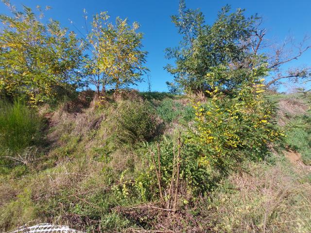 #2537296 Terreno agricolo di 3.640 mq in vendita - foto 14