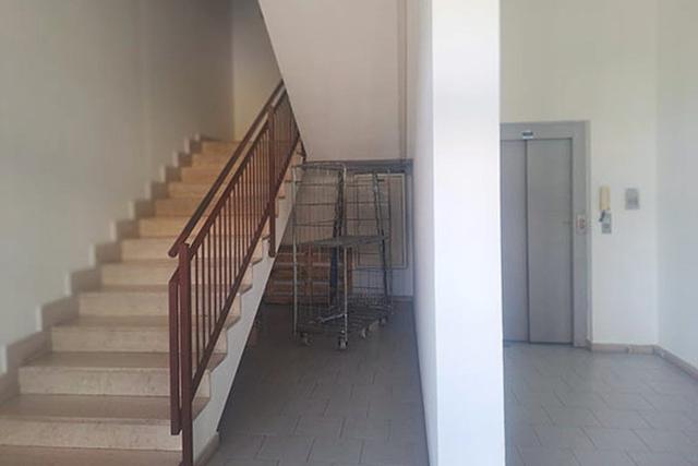 Grandi dimensioni in vendita