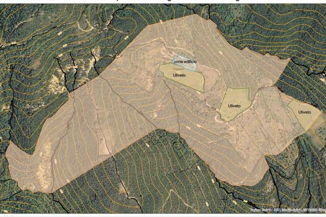 Agricoli in vendita