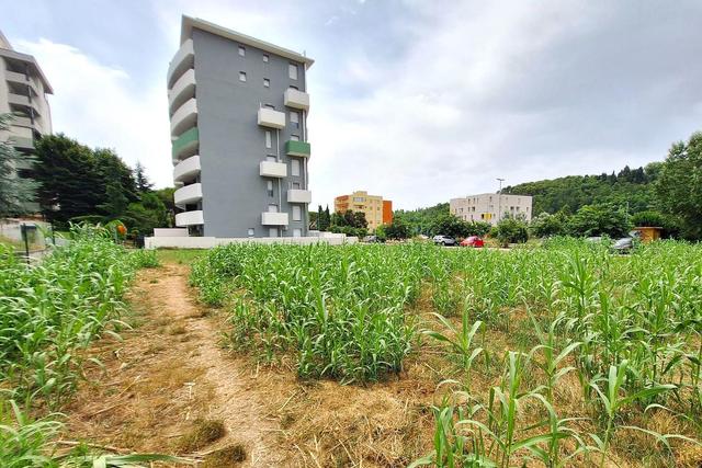 #24080 Area edificabile di 1236 mq in zona residenziale in vendita - foto 6