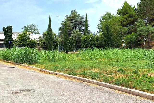 #24080 Area edificabile di 1236 mq in zona residenziale in vendita - foto 7