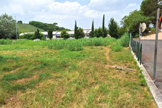 #24080 Area edificabile di 1236 mq in zona residenziale in vendita - foto 2