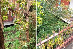 Edificabili in vendita