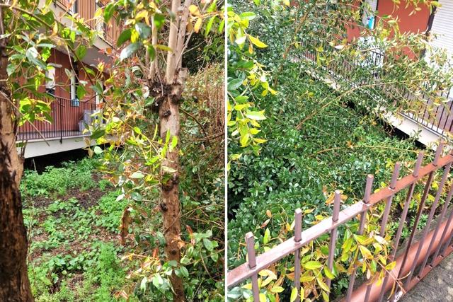 Edificabili in vendita