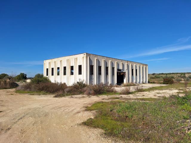 Edificabili in vendita