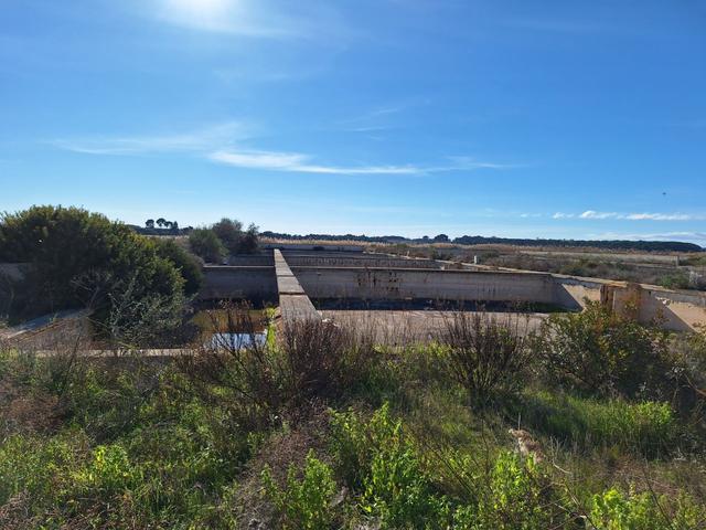 Edificabili in vendita