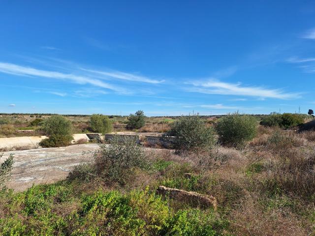 Edificabili in vendita