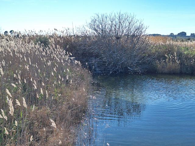Edificabili in vendita