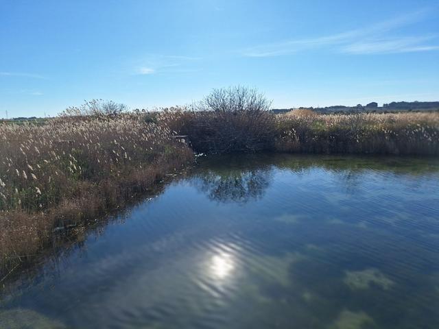 Edificabili in vendita