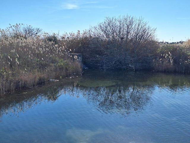 Edificabili in vendita