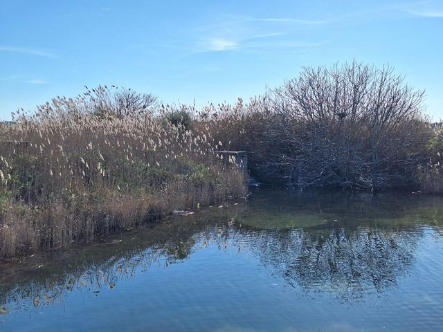 Edificabili in vendita