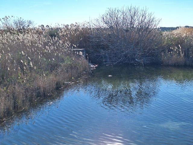 Edificabili in vendita
