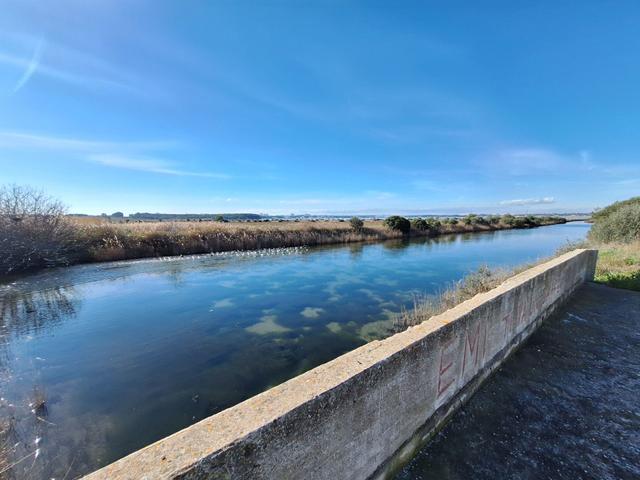 Edificabili in vendita