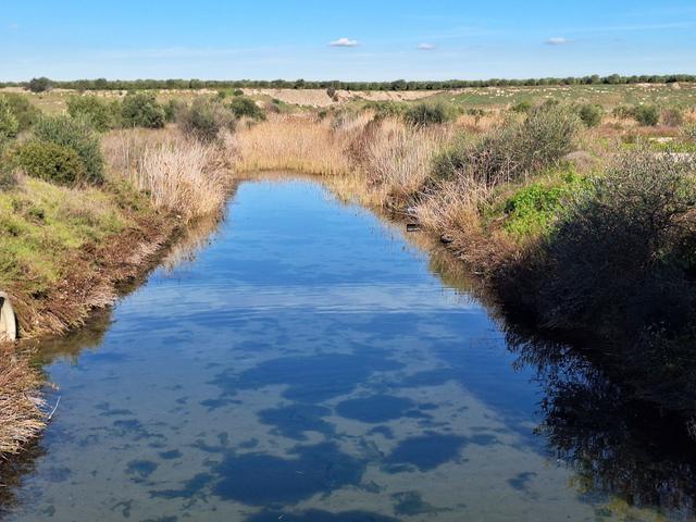 Edificabili in vendita