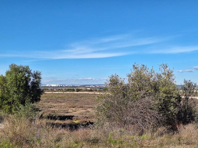 Edificabili in vendita